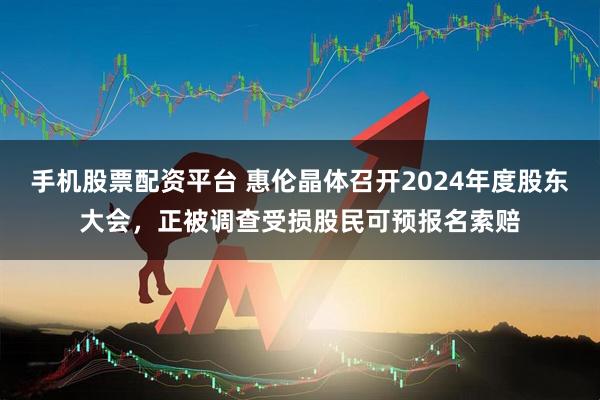 手机股票配资平台 惠伦晶体召开2024年度股东大会，正被调查受损股民可预报名索赔