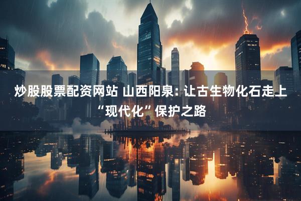 炒股股票配资网站 山西阳泉: 让古生物化石走上“现代化”保护之路