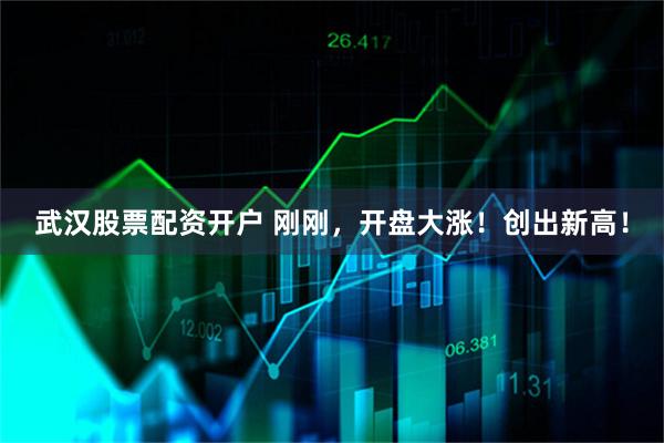武汉股票配资开户 刚刚，开盘大涨！创出新高！